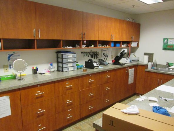 Medical Office Condo for Sale or Lease: 2435 Dean St Unit C, St Charles, IL 60175